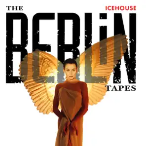 The Berlin Tapes
