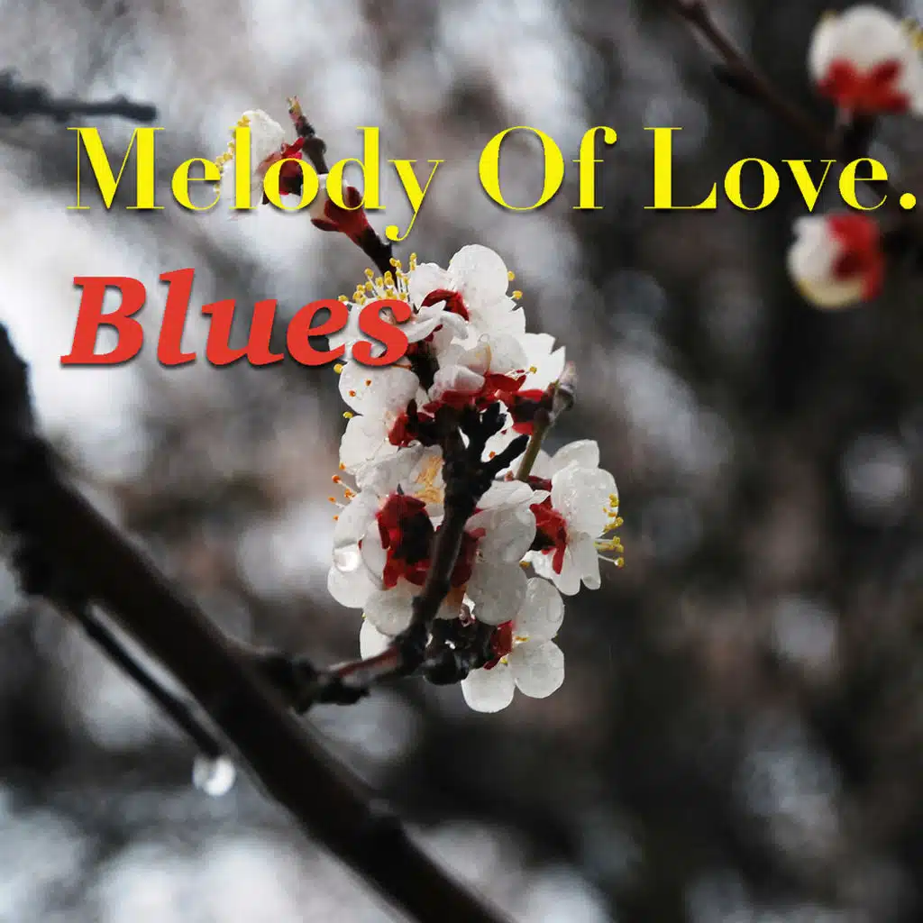Melody Of Love. Blues