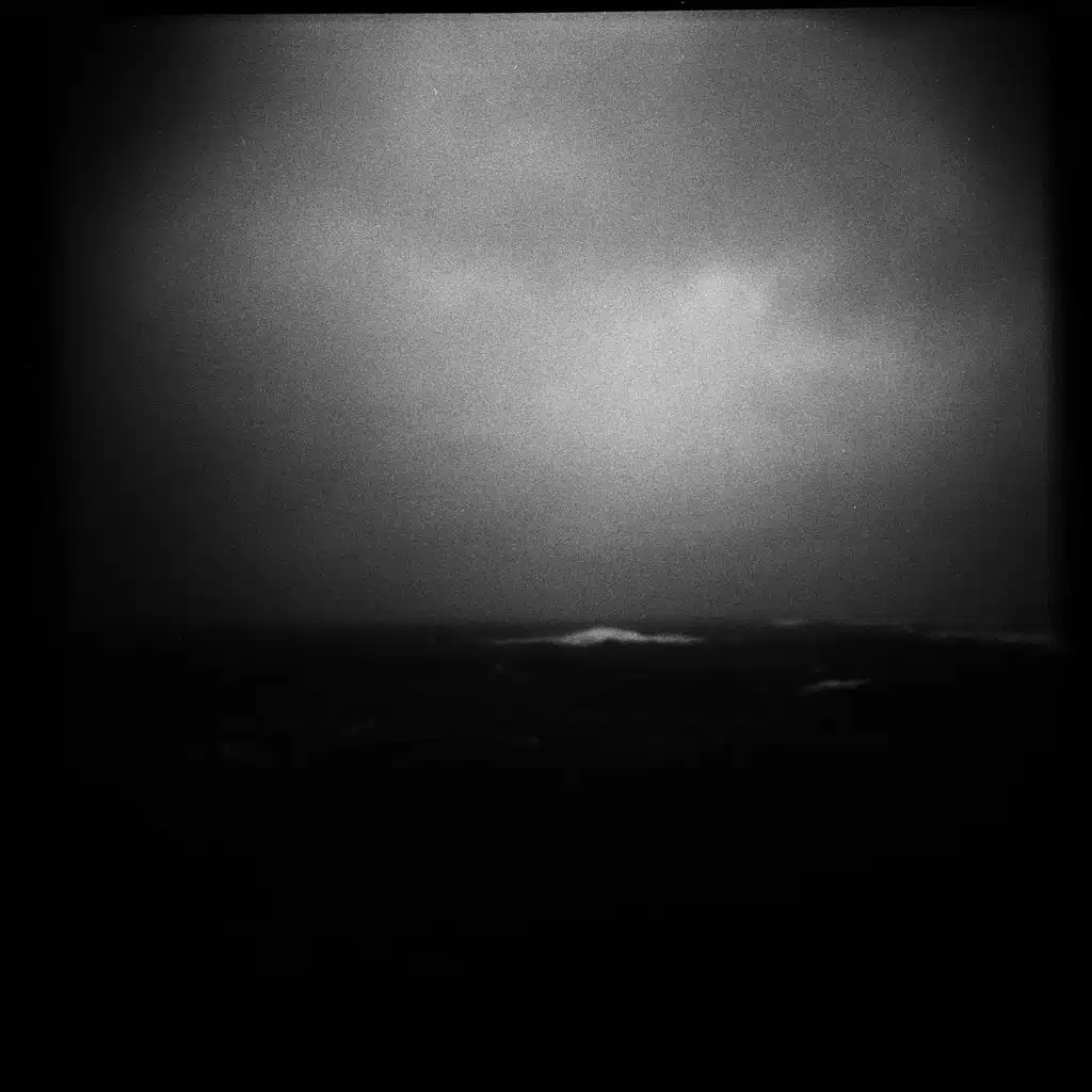 Playing in the Leaves