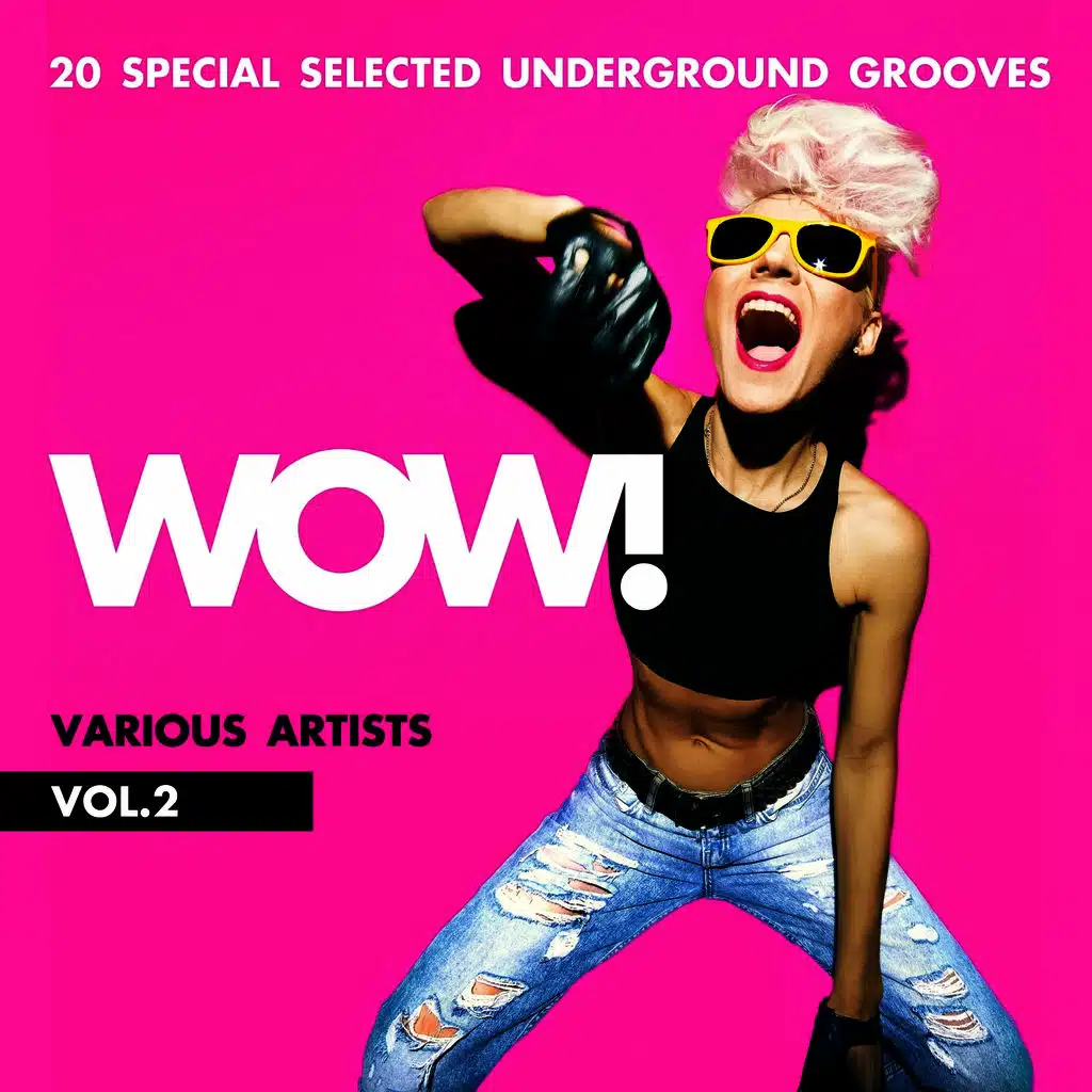 WOW! (20 Special Selected Underground Grooves), Vol. 2