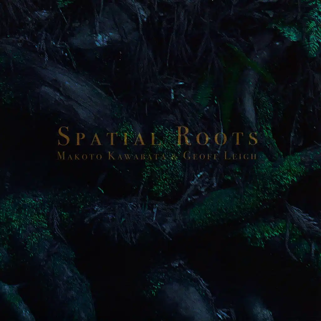 Spacial Roots, Pt. 2