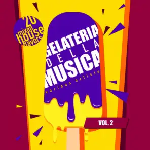 Gelateria Della Musica (20 Mixed House Flavors), Vol. 2