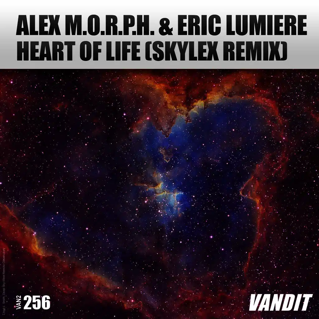 Heart of Life (Skylex Remix)