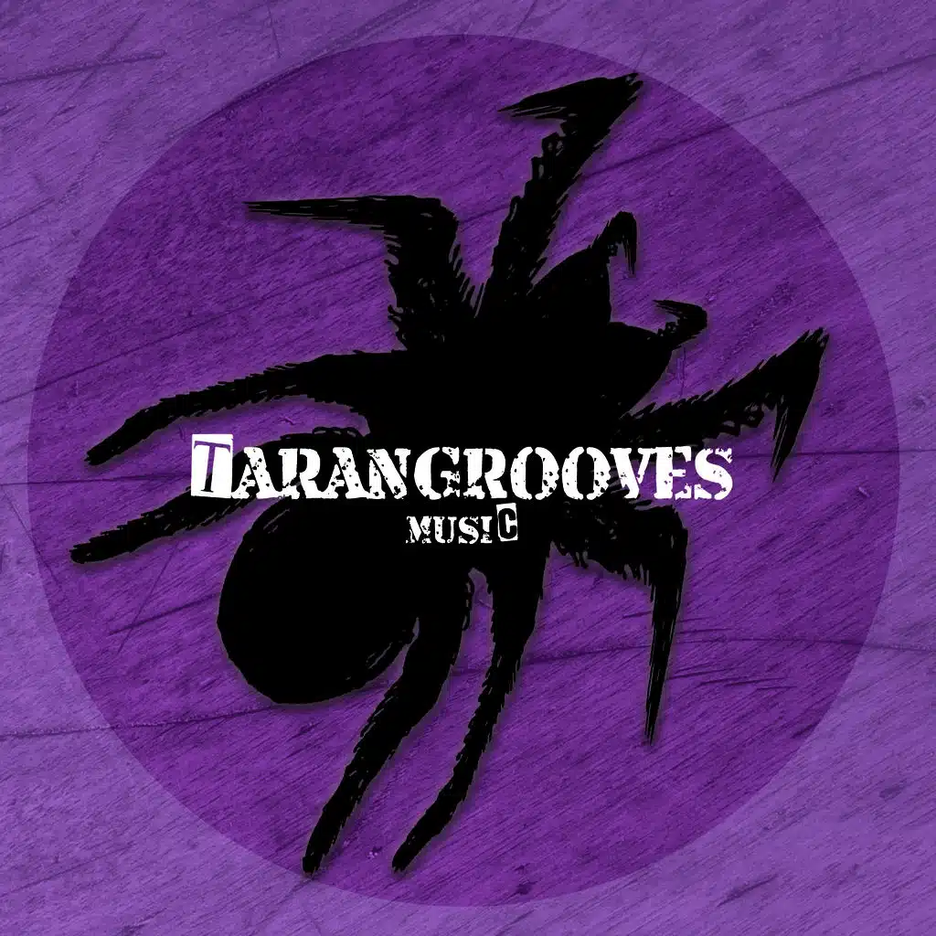 The Other Side of the Mirror (Radio Edit)