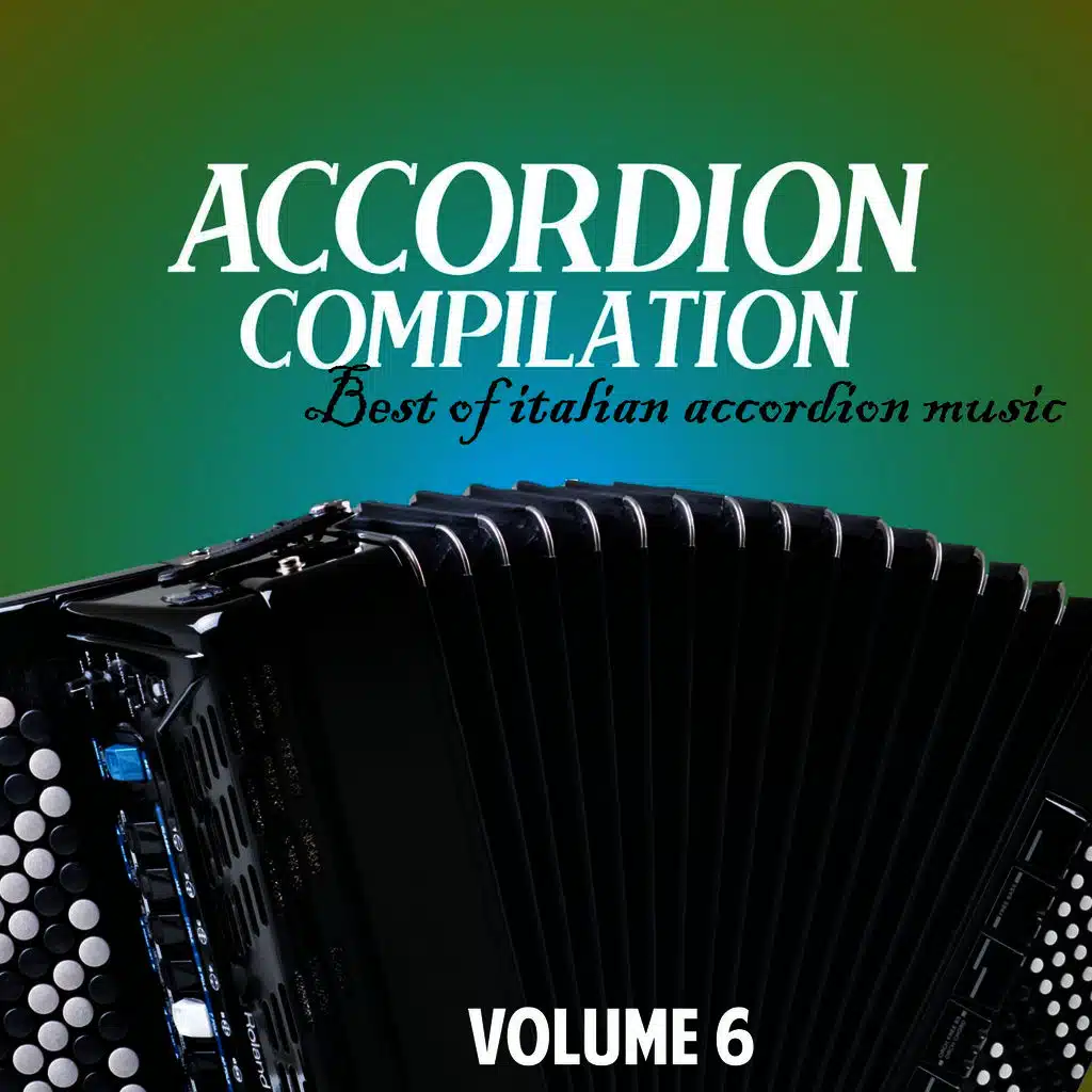 Accordion compilation vol. 6 (Best of italian accordion music)