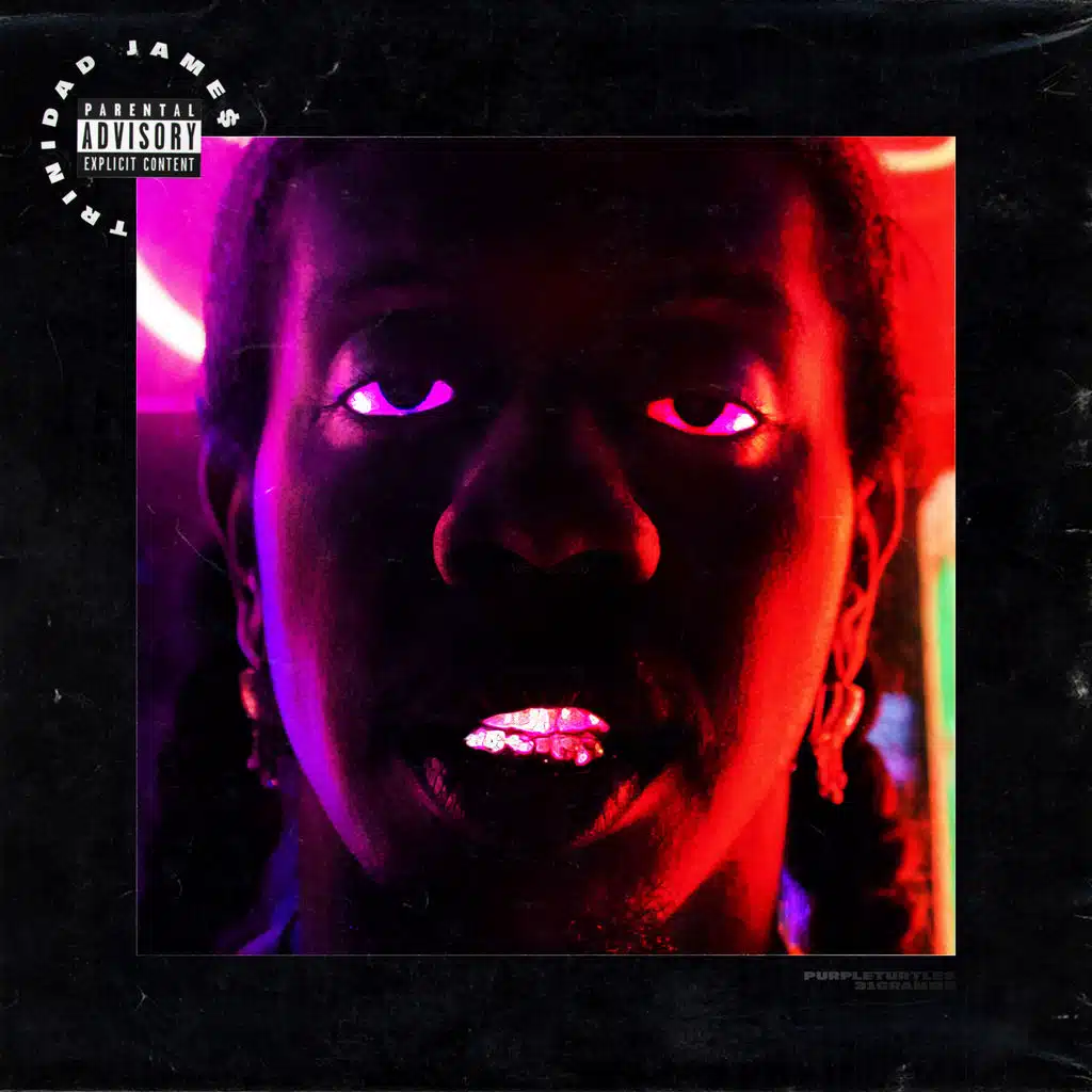 Purple Turtle$ (ft. 31gramms)