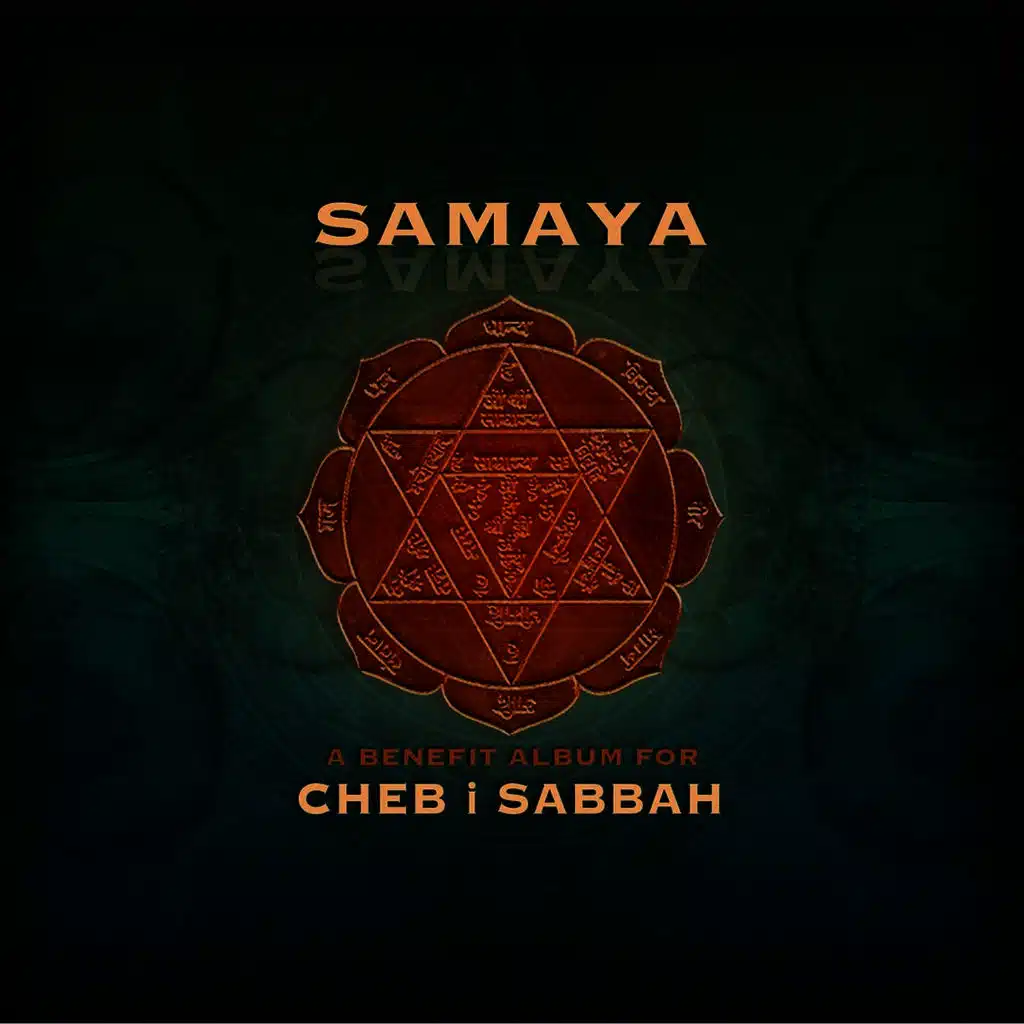 Too Much 21st Century (Remixed By Cheb I Sabbah: The Delhi Dhol Mix)