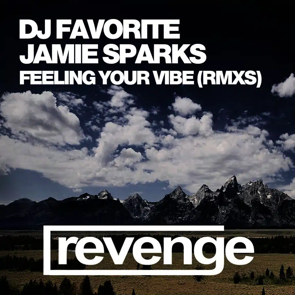 Feeling Your Vibe (Official Remixes)