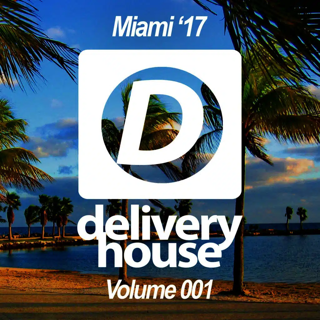 Beautiful Night (DJ Flight Remix)