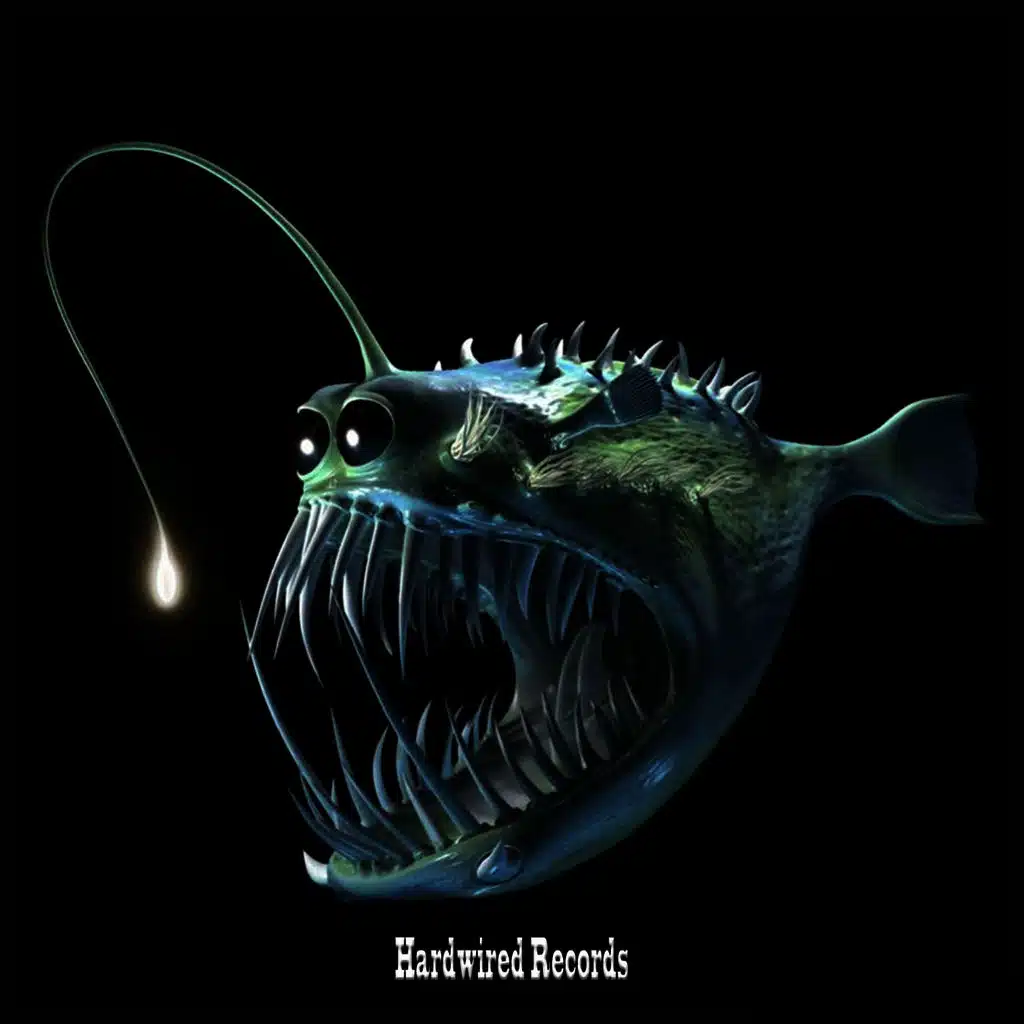 Gravicapa (Original Mix)