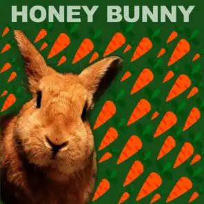 House Rock (Honey Bunny Mix)