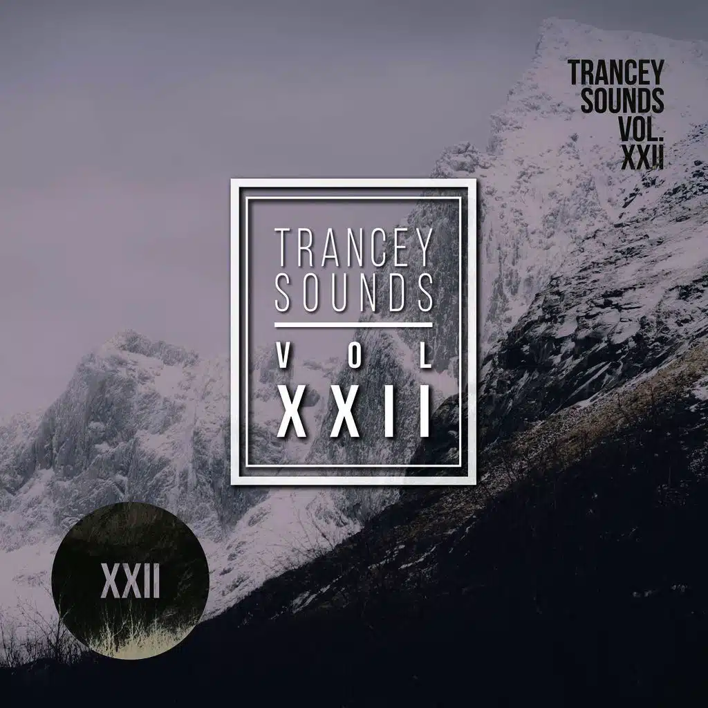 Utrecht Series - Vol.XXII