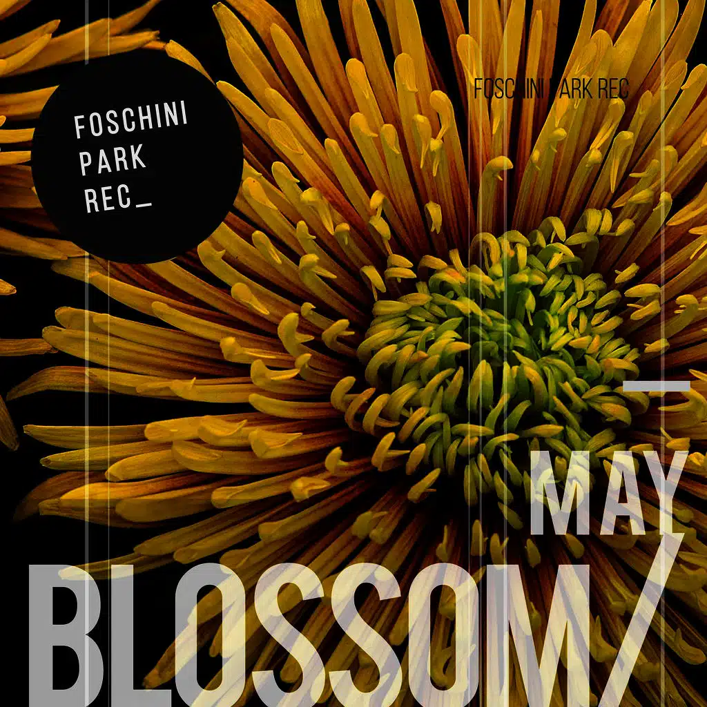 Vortex (feat. Il Conte Zaraxxx) (Original mix)