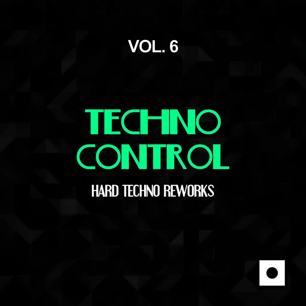 Techno Control, Vol. 6 (Hard Techno Reworks)