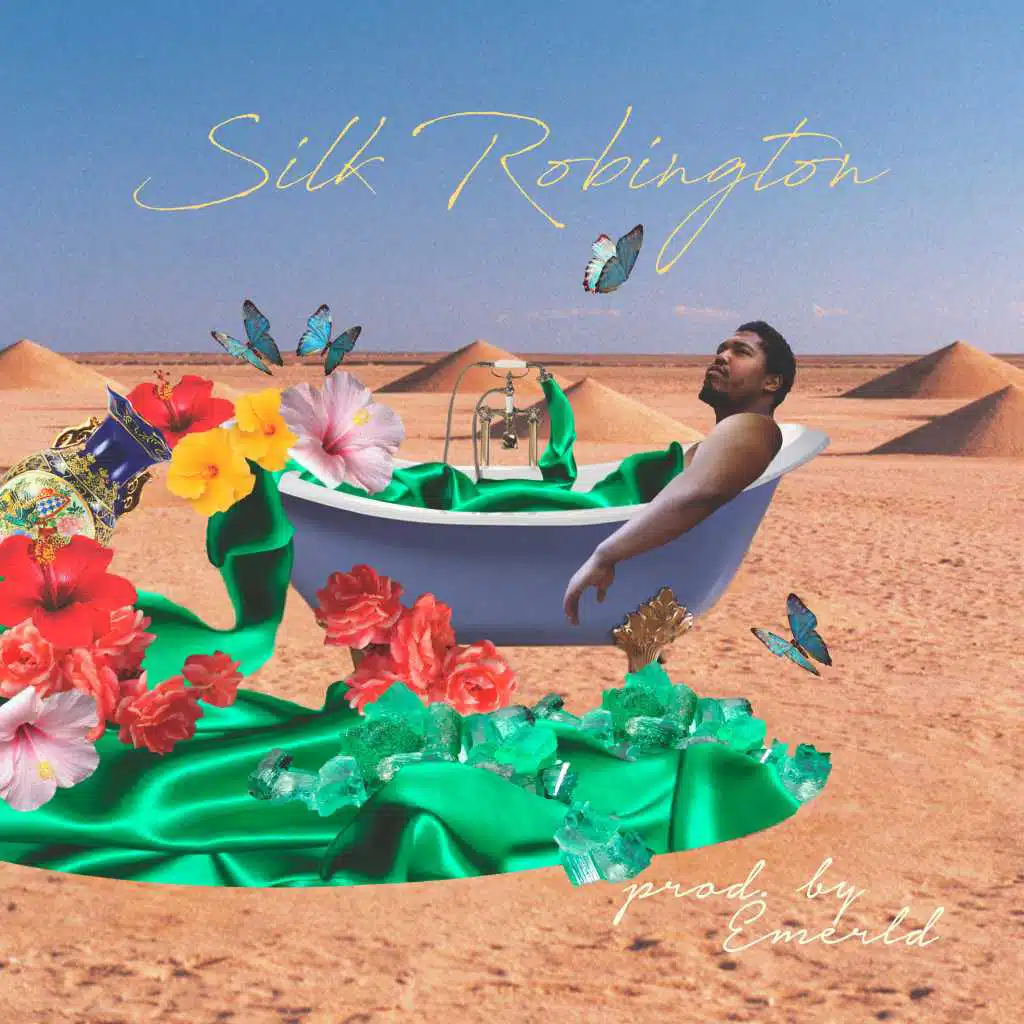 Silk Robington