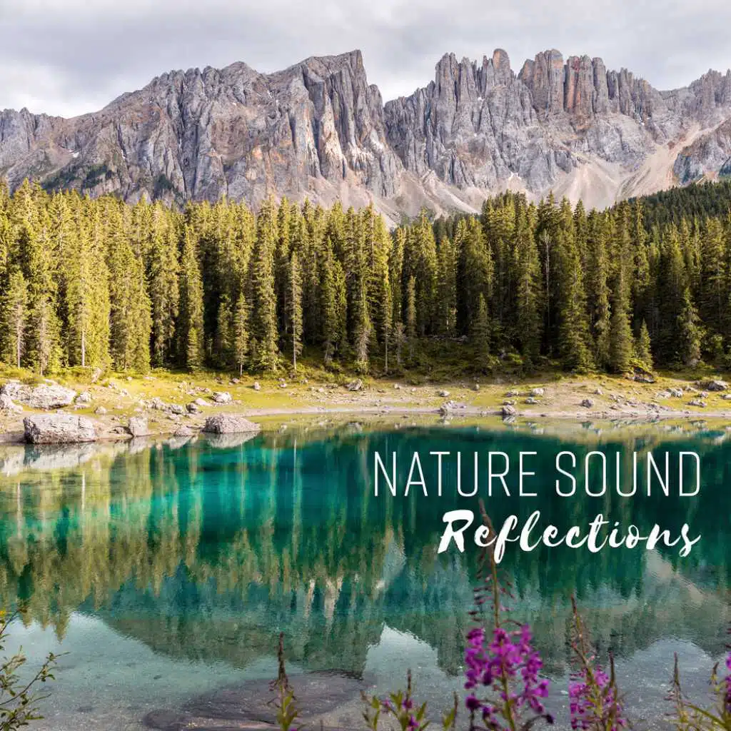 Nature Sound – Reflections