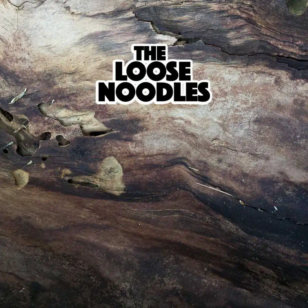 The Loose Noodles