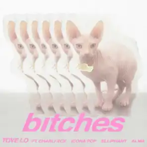 bitches (feat. Charli XCX, Icona Pop, Elliphant & ALMA)