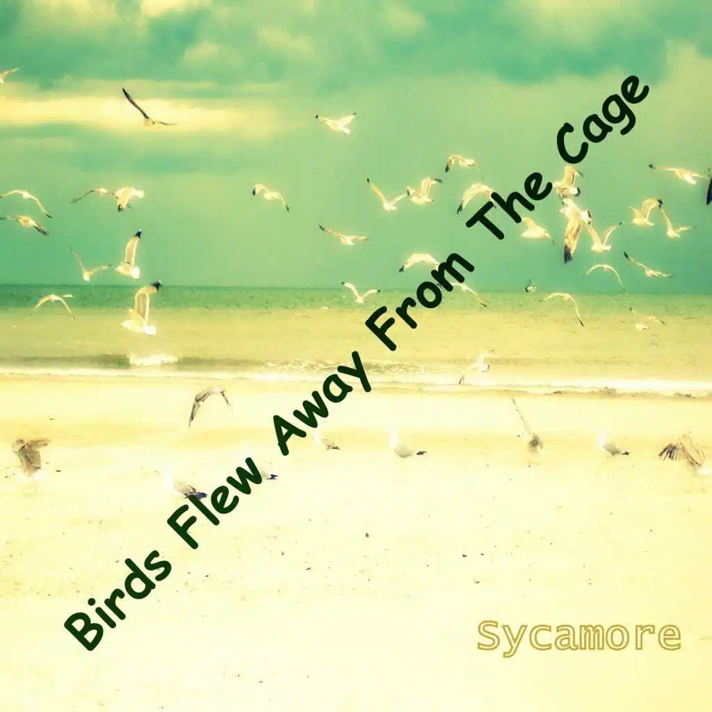 Birds Flew Away from the Cage