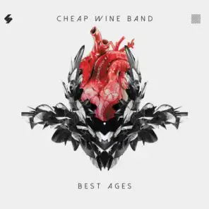 Cheap Wine Band