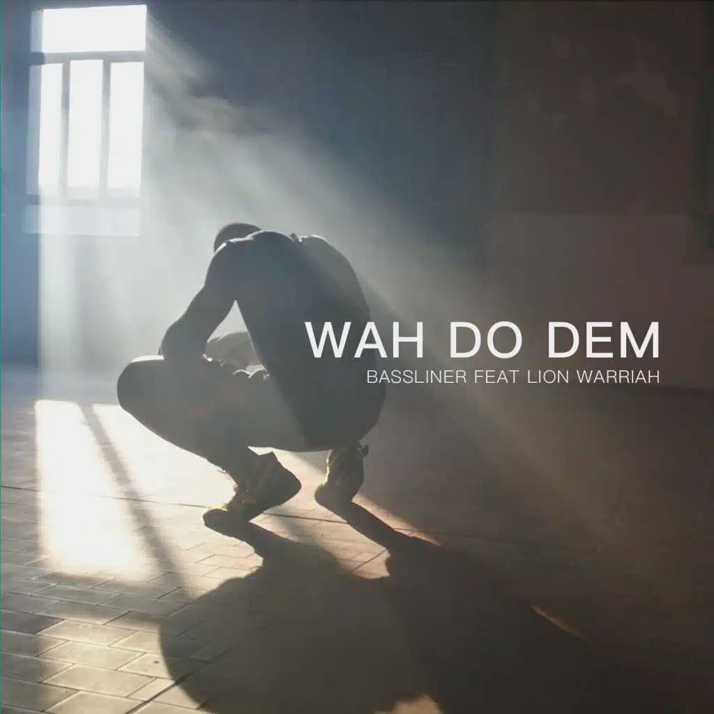 Wah Do Dem (feat. Lion Warriah)