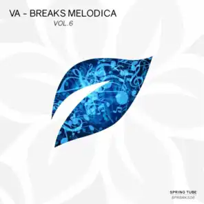Breaks Melodica, Vol. 6