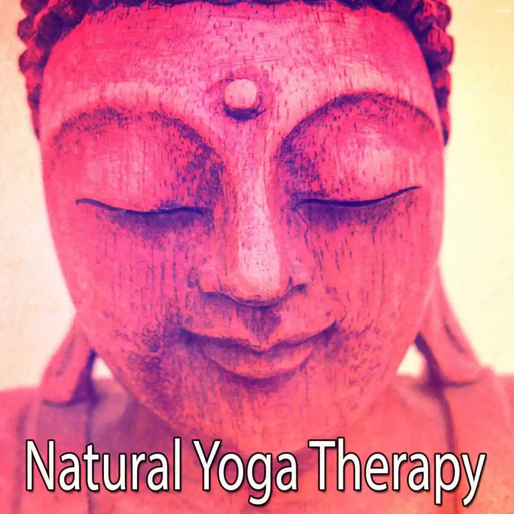 Natural Yoga Therapy