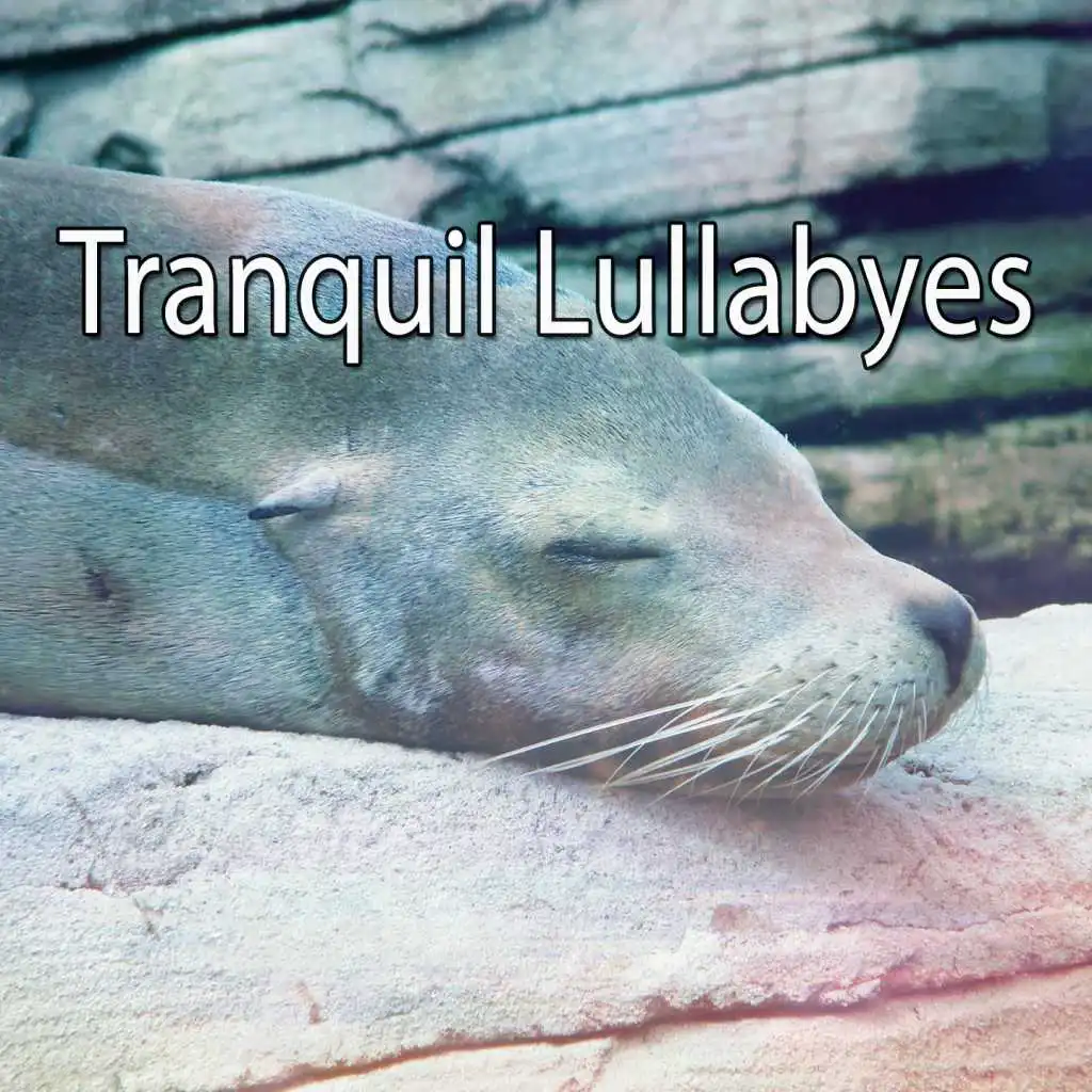 Tranquil Lullabyes