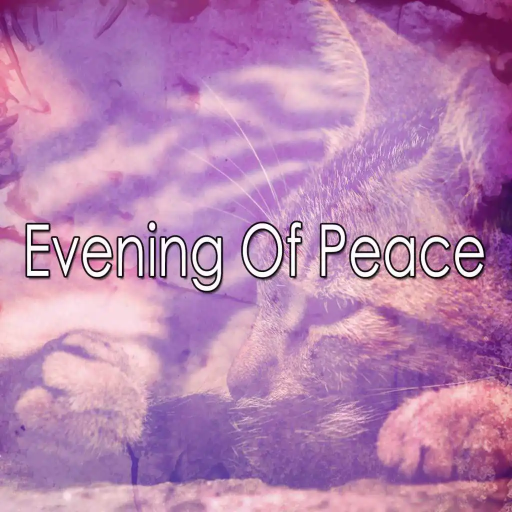 Evening Of Peace