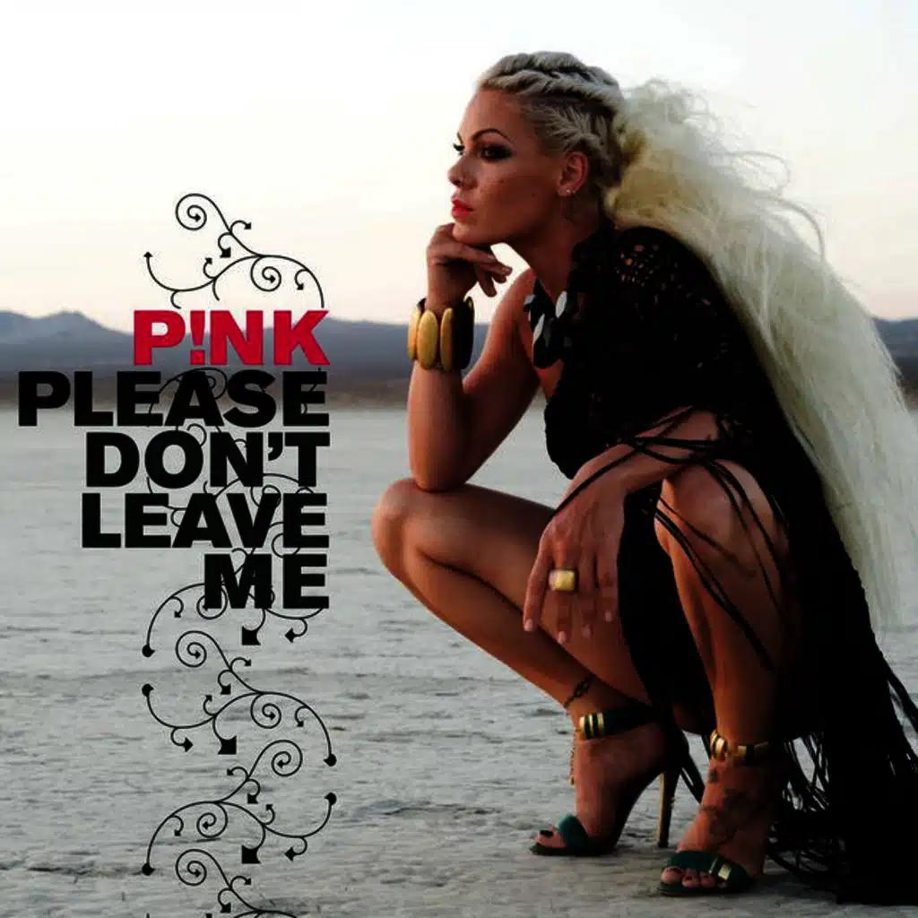 Please Don't Leave Me (2009)