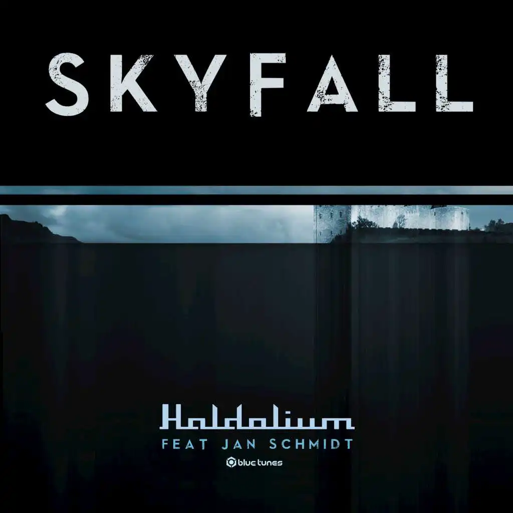 Skyfall (feat. Jan Schmidt)