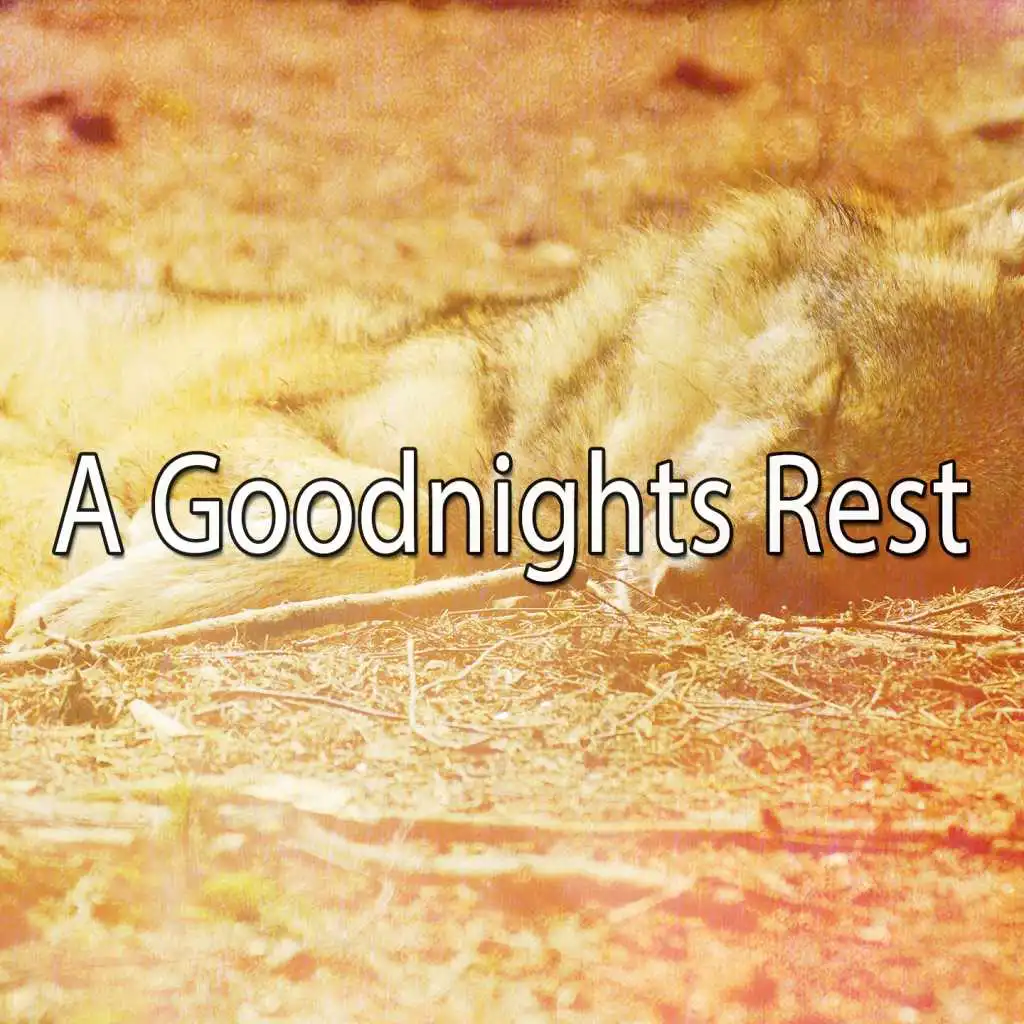 A Goodnights Rest