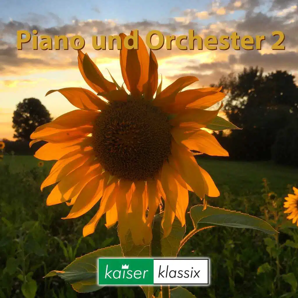 Piano und Orchester 2