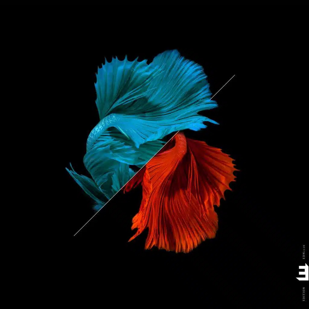 Tonadas (feat. Ivo Neame, Sam Lasserson & James Maddren)