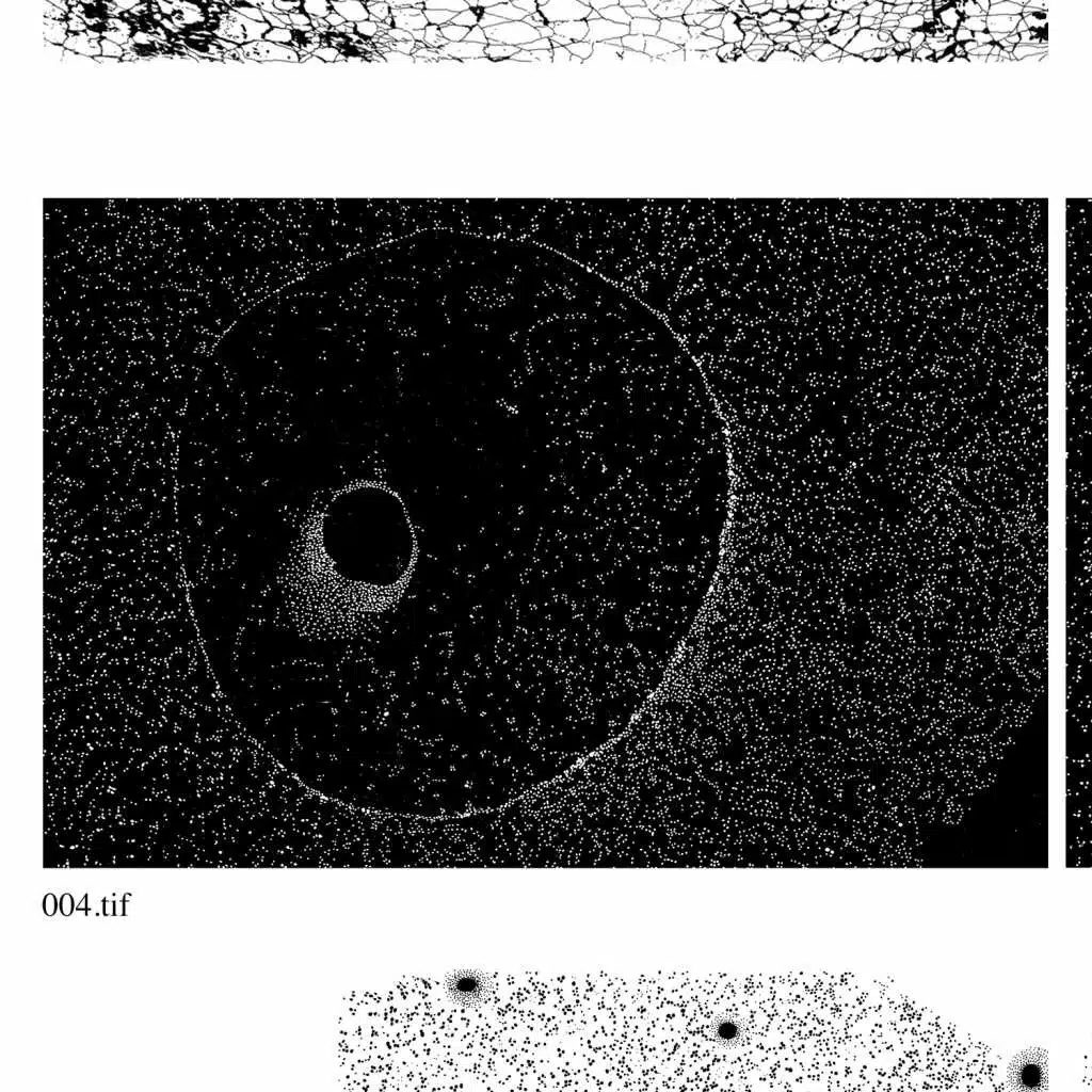 Little Puzzle (feat. Head Dress)