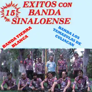 15 Exitos Con Banda Sinaloense