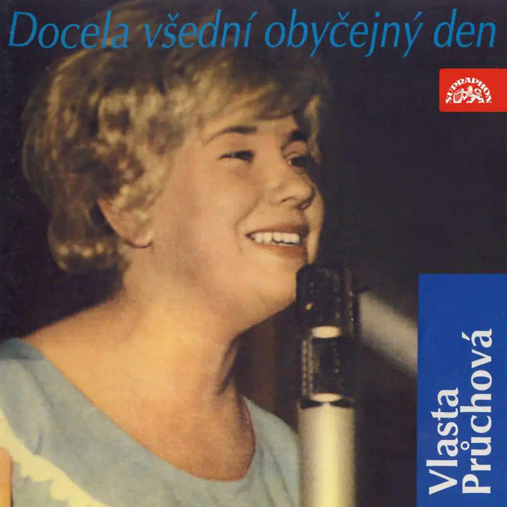 Docela Všední Obyčejný Den