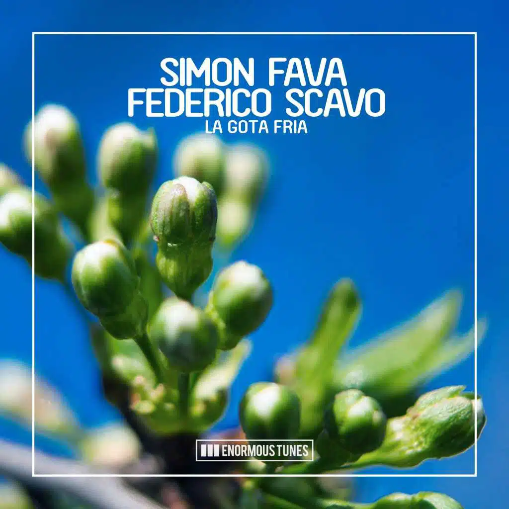 Simon Fava & Federico Scavo