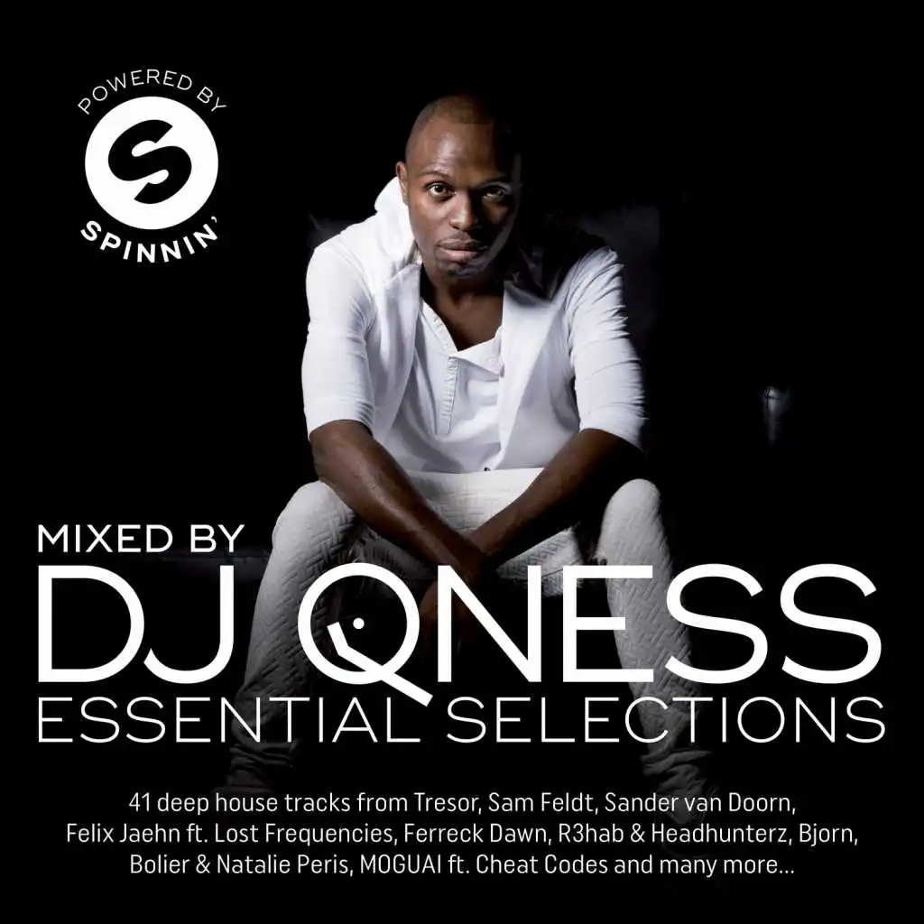 Essential Selections Mixed by DJ Qness