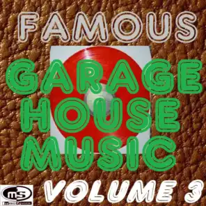 Famous Garage House Music, Vol. 3 (DJ Megamix)