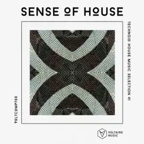Sense Of House, Vol. 41
