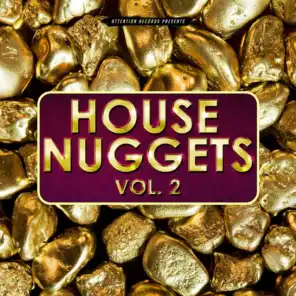 House Nuggets, Vol. 2