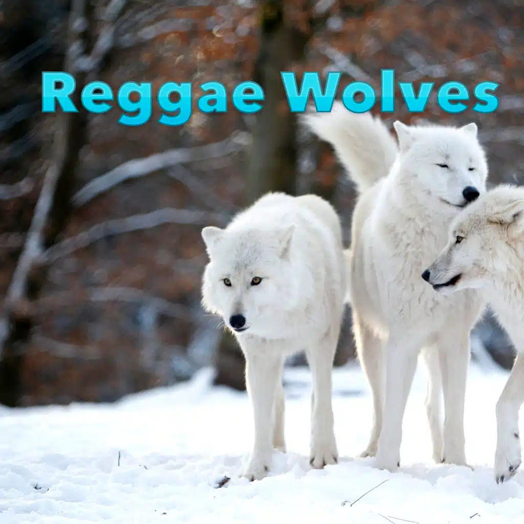 Reggae Wolves