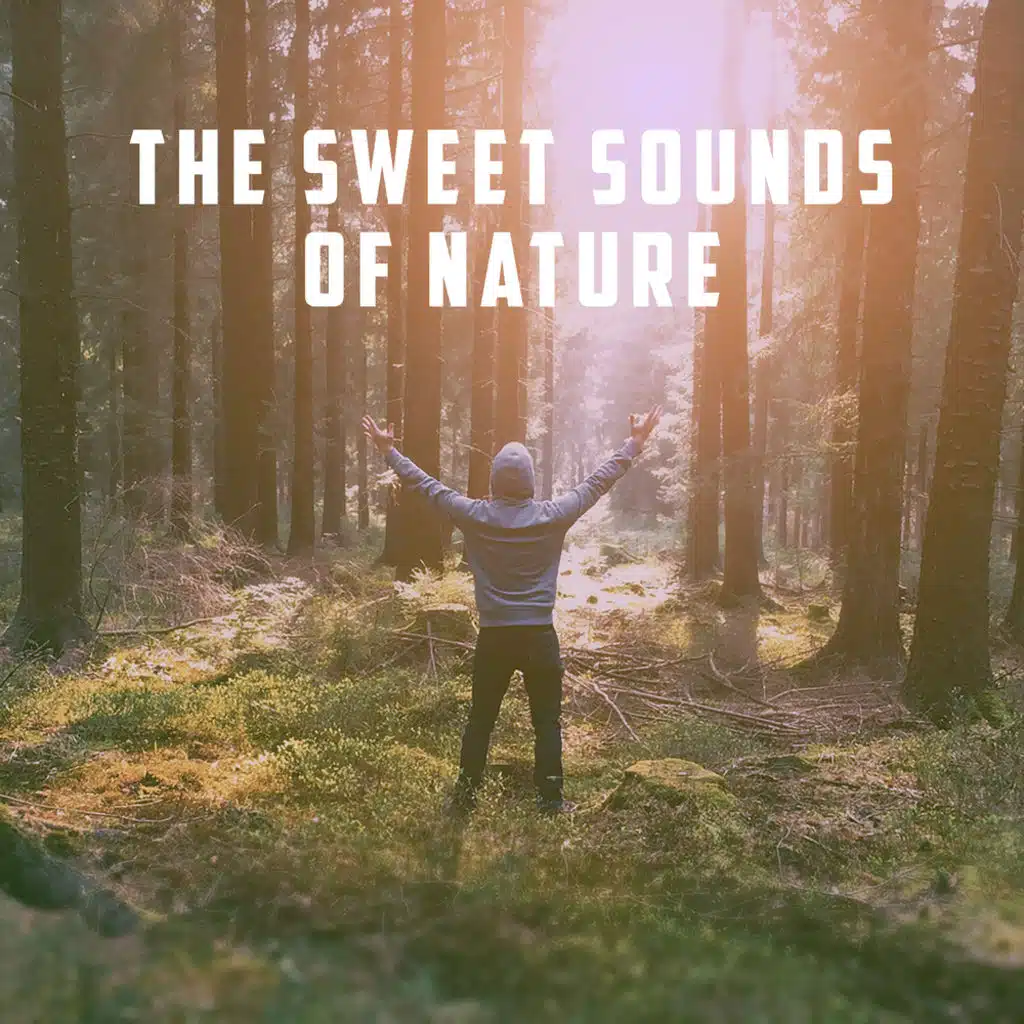 The Sweet Sounds Of Nature