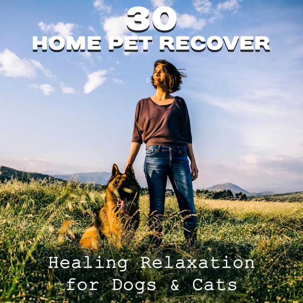 30 Home Pet Recover: Healing Relaxation for Dogs & Cats – Happiness Gift, Calm Down, Spa Treatment, Wellness to Soothe Your Pet