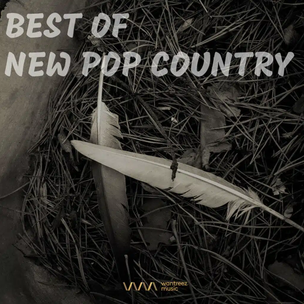 Best Of New Pop Country