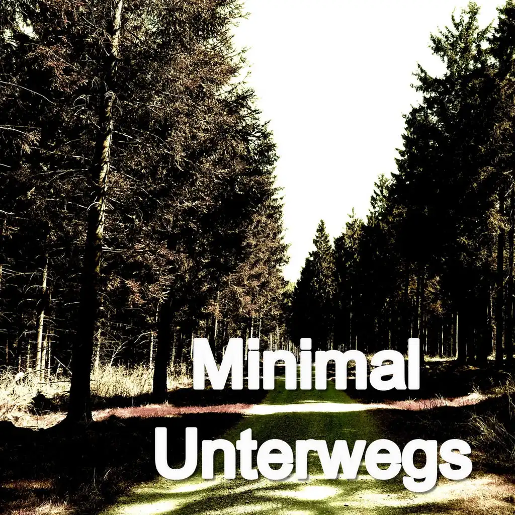 Minimal Unterwegs (More than 100 tracks)