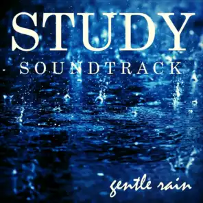 Study Soundtrack: Gentle Rain