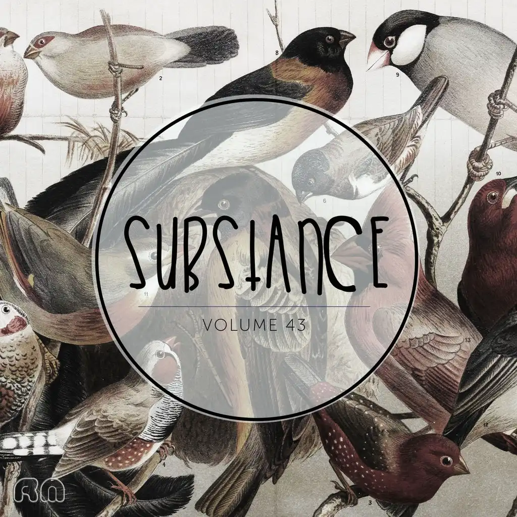 Substance, Vol. 43