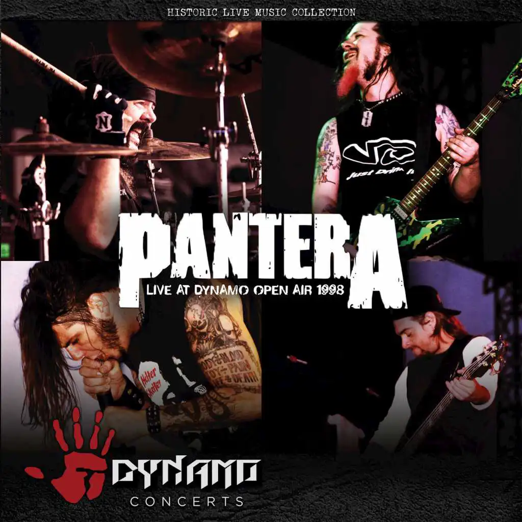 Pantera (Spanish)